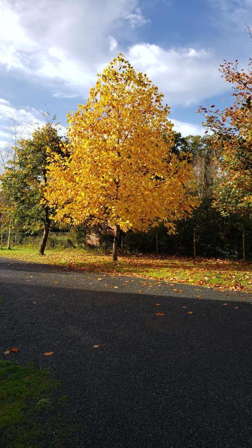 Le Calme Bed and Breakfast Plessé Exteriör bild
